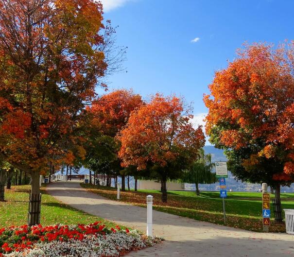 阿里豐城園林綠化有限公司